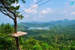 Kulon Progo