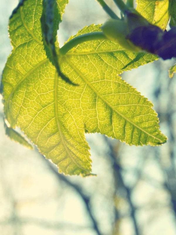 Blanco Coffee and Books