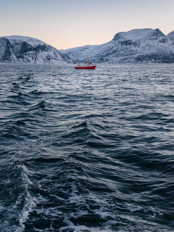 Car Rental with Driver