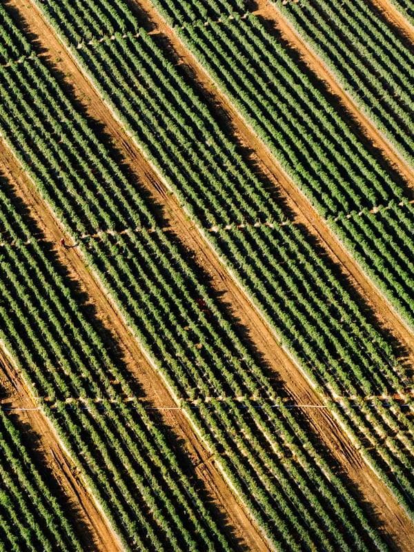 Greenhost Boutique Hotel